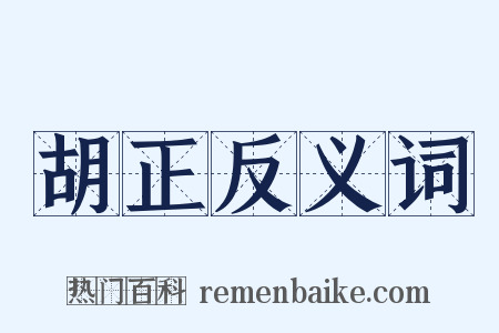胡正反义词是什么意思的图片